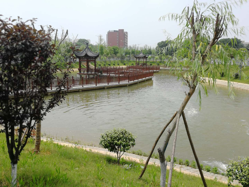 工程后圭塘河河湖连通工程实景一